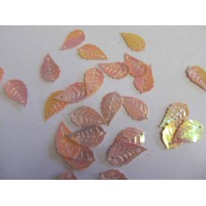 Sequins Shapes